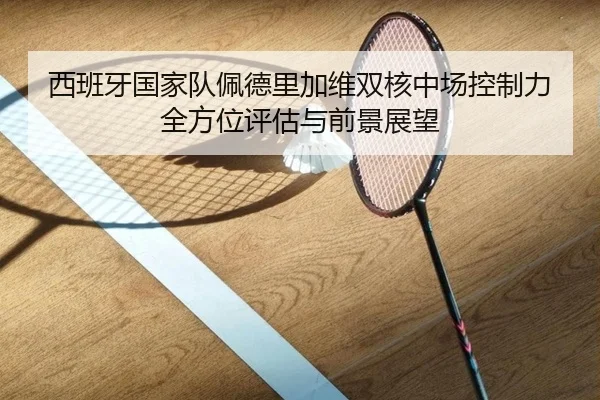 西班牙国家队佩德里加维双核中场控制力全方位评估与前景展望